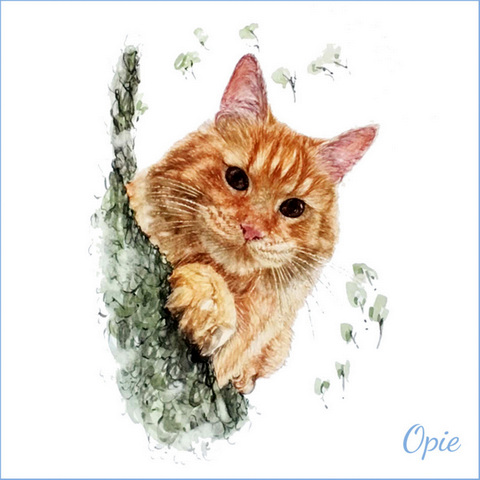 Opie