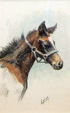 Head of a Foal