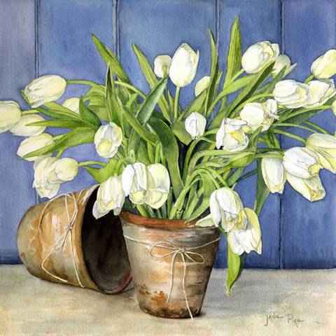 White Tulips in Flowerpots