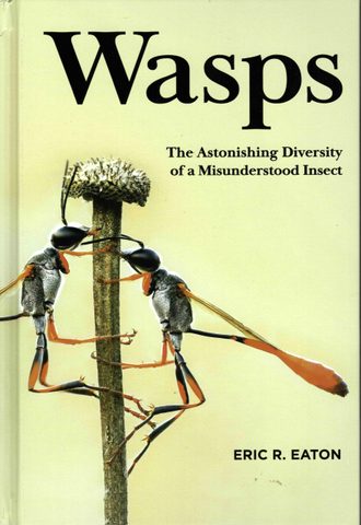 Wasps