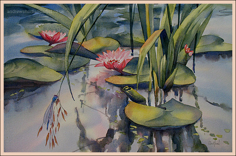 Water Lilies