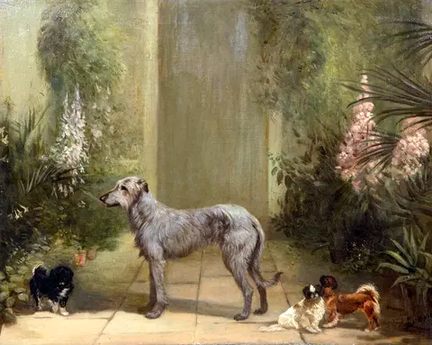 Irish Wolfhound and Pekingese