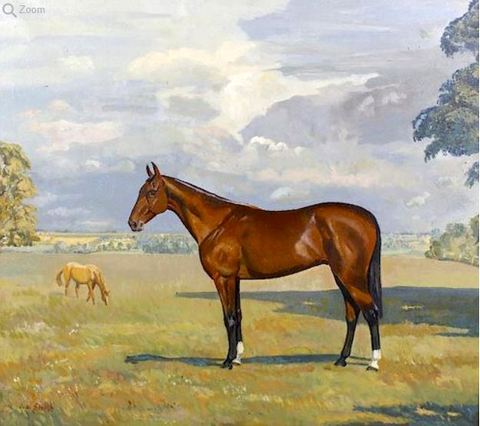 Racehorse in a Field