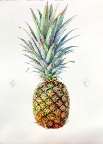 Pineapple