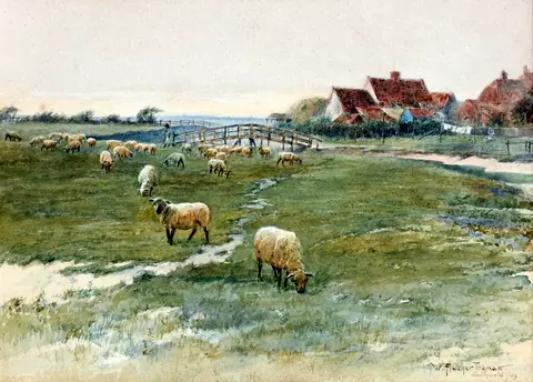 Sheep Grazing near Southwold