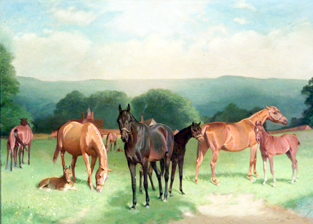 Brood Mares in a Pasture