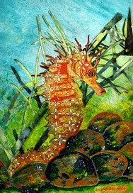Seahorse
