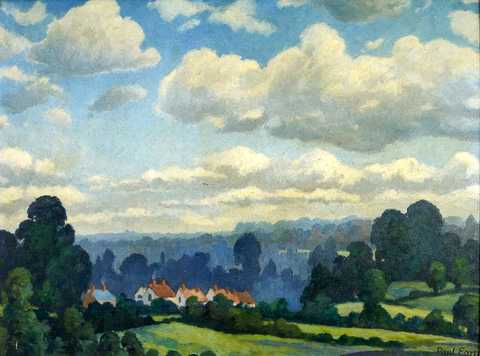 Extensive Landscape