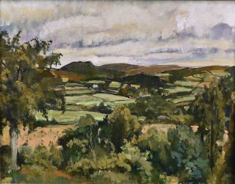 Hilly Landscape