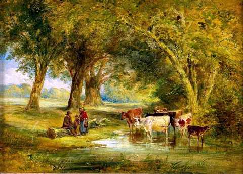 Cattle Watering