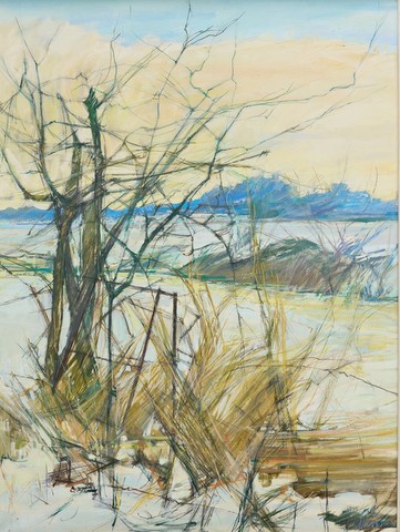 The Water Meadows