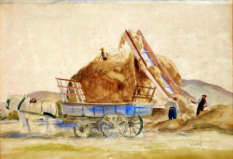 Hay Harvest