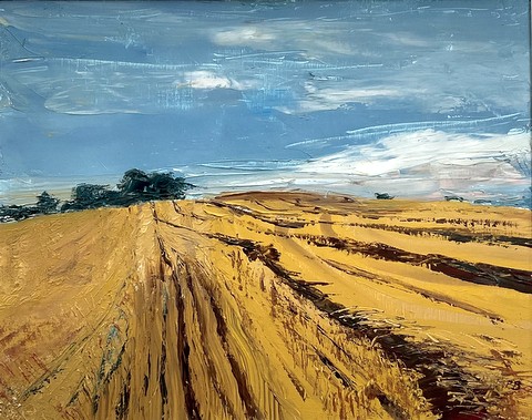 Harvest Field