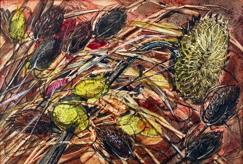 Teasels
