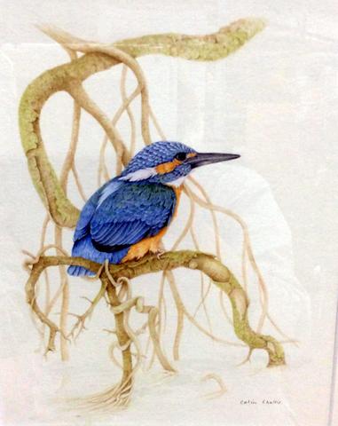 Kingfisher