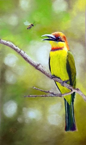 I am the Bee-eater