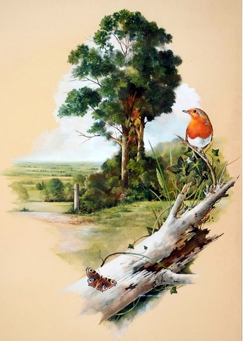 A Robin and a Goldfinch