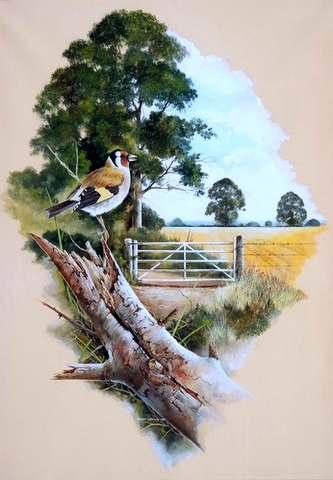 A Robin and a Goldfinch