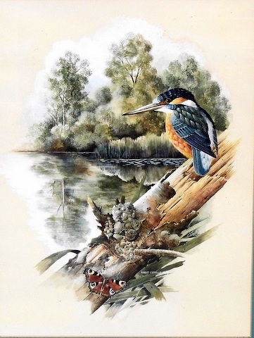 Kingfisher