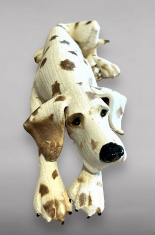 Spotty Lying Dog