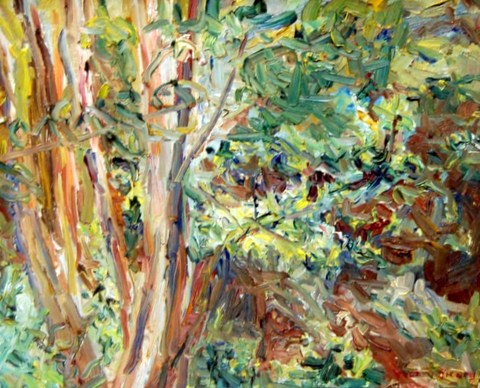 Tree Study