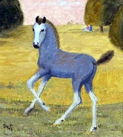 Foal in open Landscape