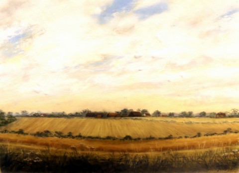 The Fields, Hemingstone