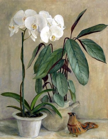 Orchids and a Bird