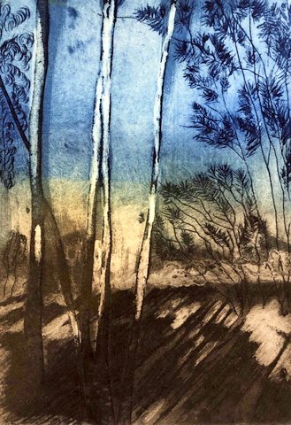 Shadows