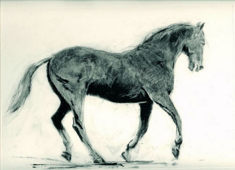 Horse at canter