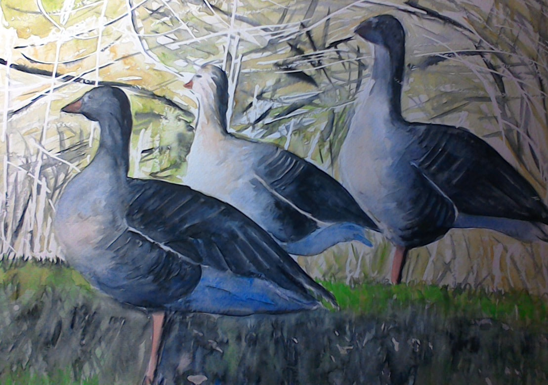 Geese on the Green
