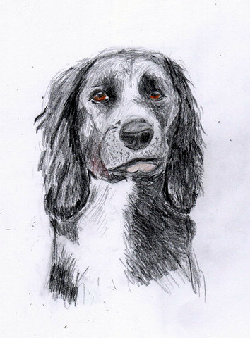A Friend