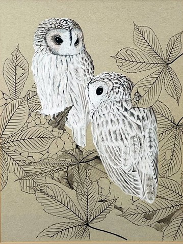 Two Owls