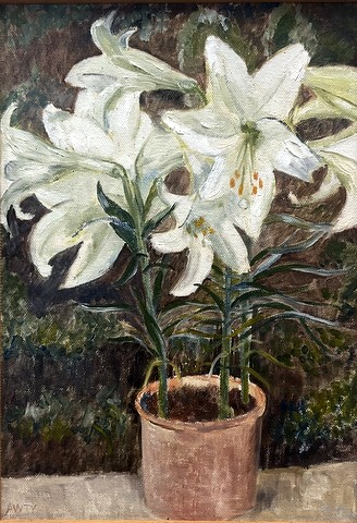 Lilies