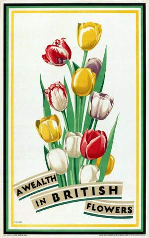 Home Bulbs for Home Gardens