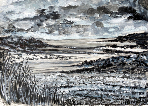 Norfolk Dreaming