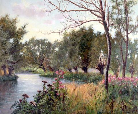 Wildflowers on the Stour