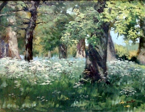 Woodland Cow Parsley