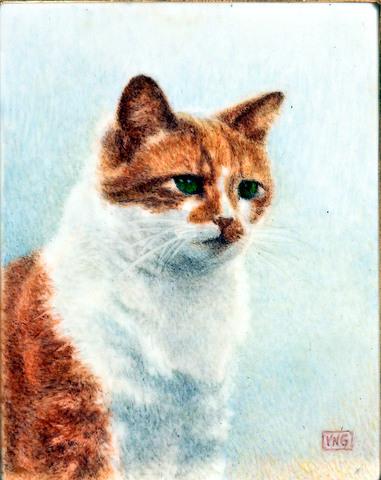 Ginger and White Tabby Cat