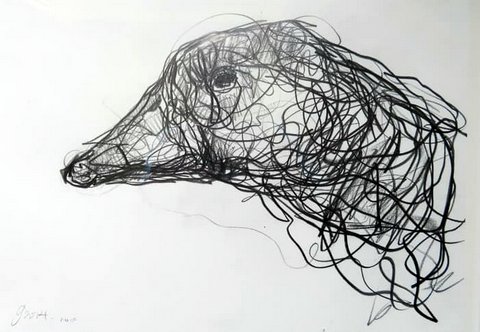 Goose Head