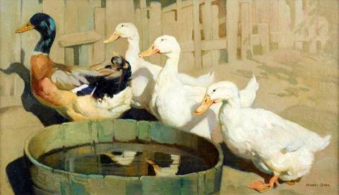 Reflections - Ducks beside a tub of water
