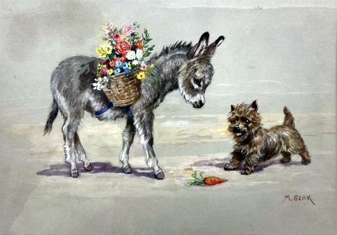 Best of Friends' - Donkey and Terrier