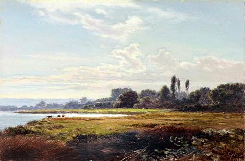 A Water Meadow