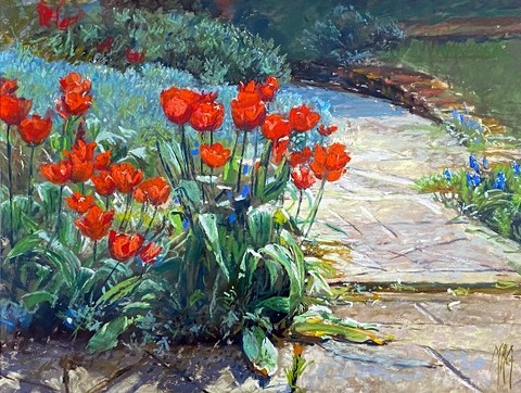 Garden Tulips