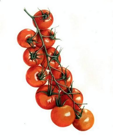 Cherry Tomatoes