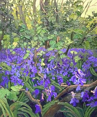 Bluebell Wood, Wenhaston