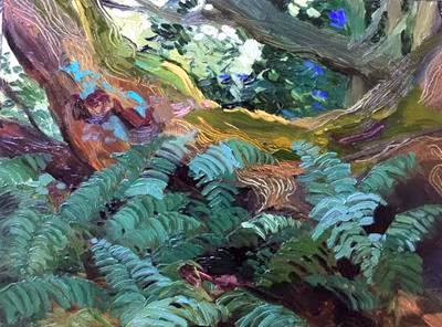Fallen Oak - Staverton 2