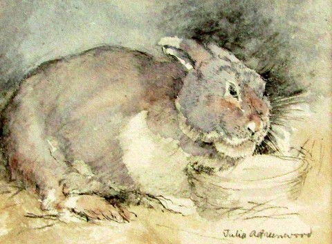 Rabbit