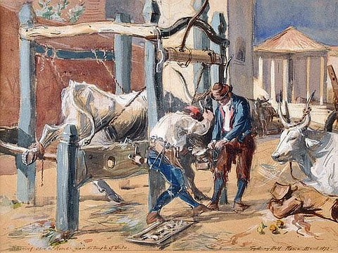 Shoeing Oxon in Rome near theTemple of Vesta