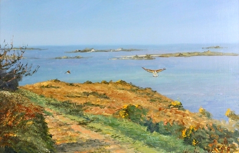 Birds of Prey over a Scilly Isles cliff top